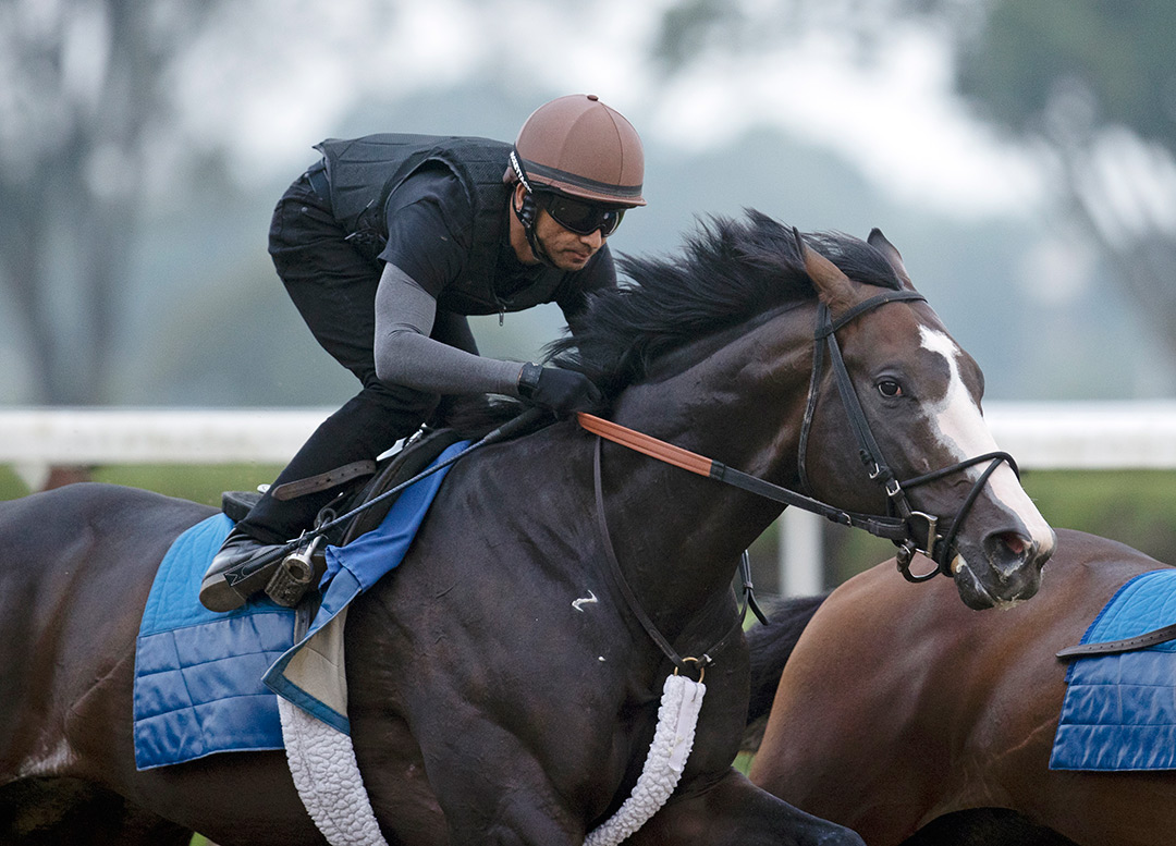 Masqueparade trains at Saratoga on July 16