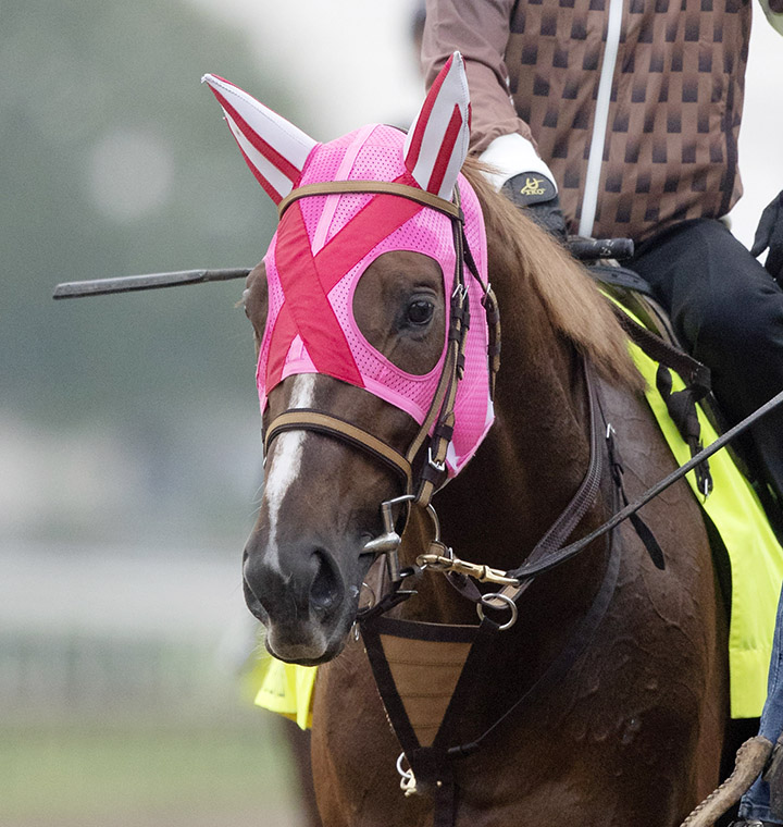 Master Fencer at Churchill on April 30