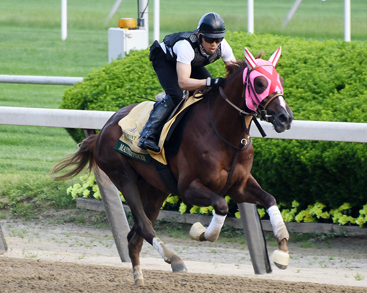 Master Fencer trains at Churchill on May 29