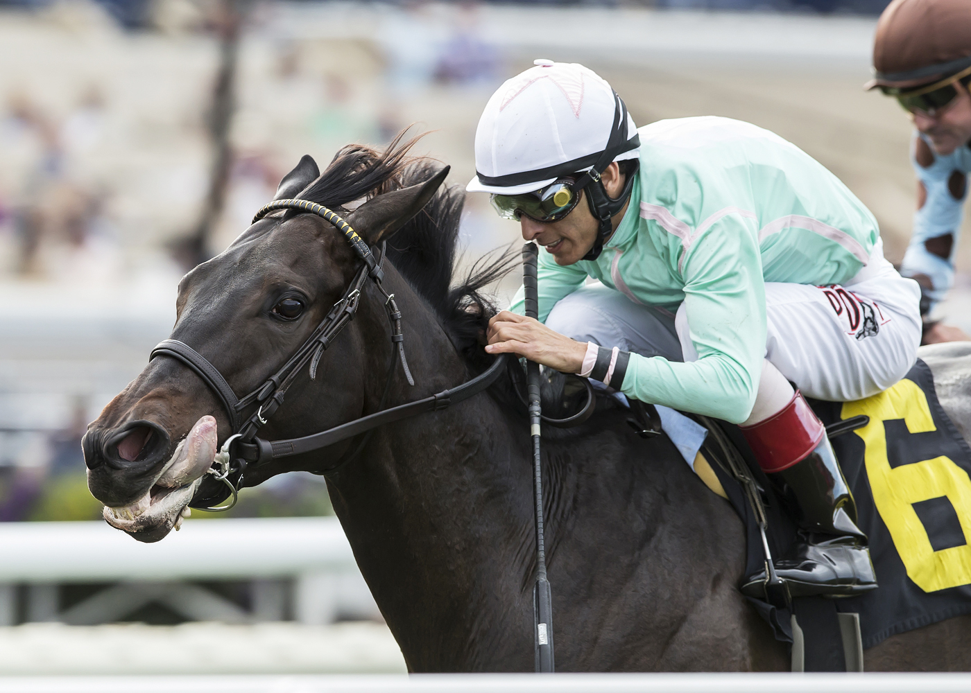 Master Merion wins the Let It Ride Stakes