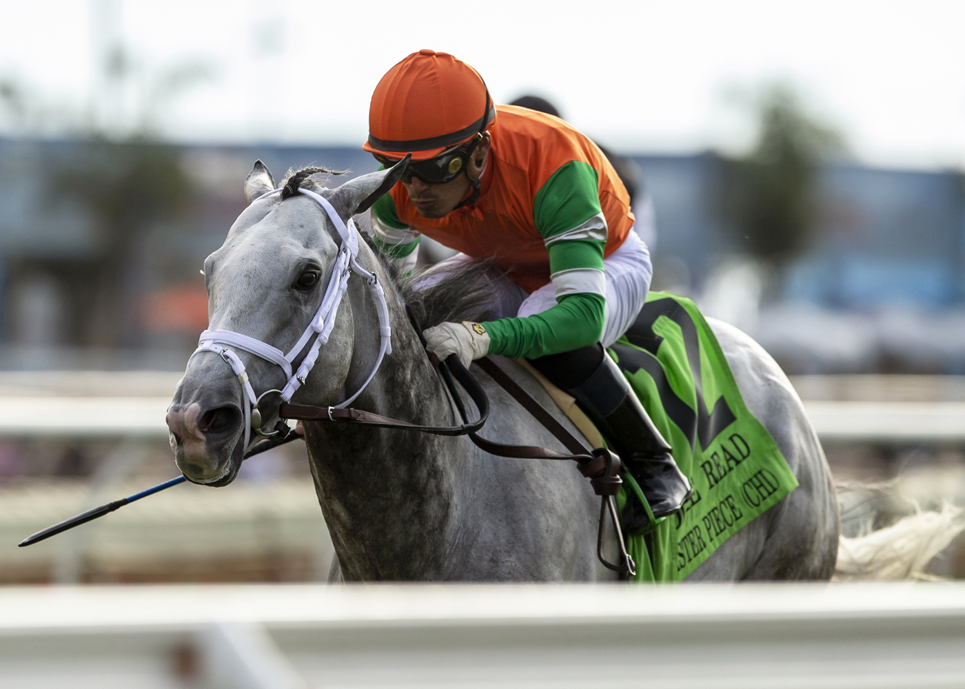 Master Piece wins Eddie Read Stakes 7-31-2022