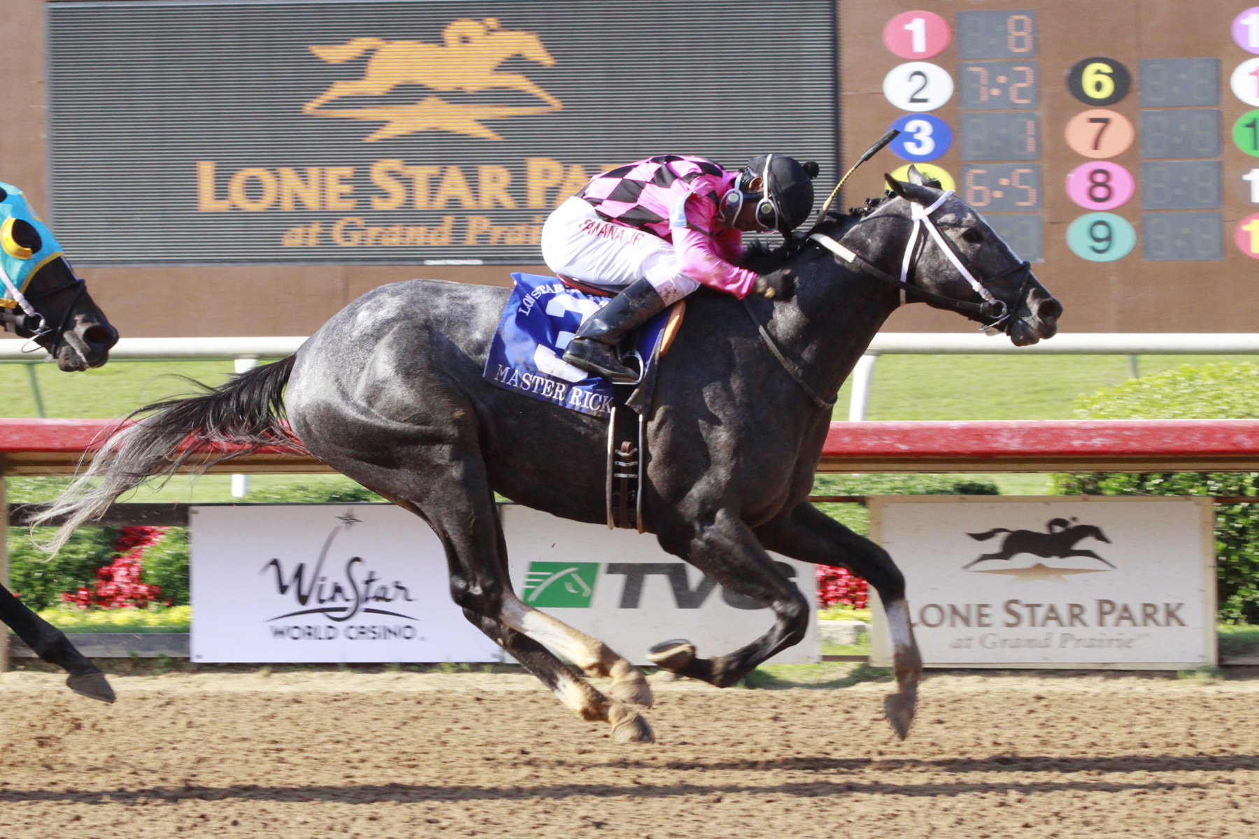 Master Rick, Lone Star Handicap