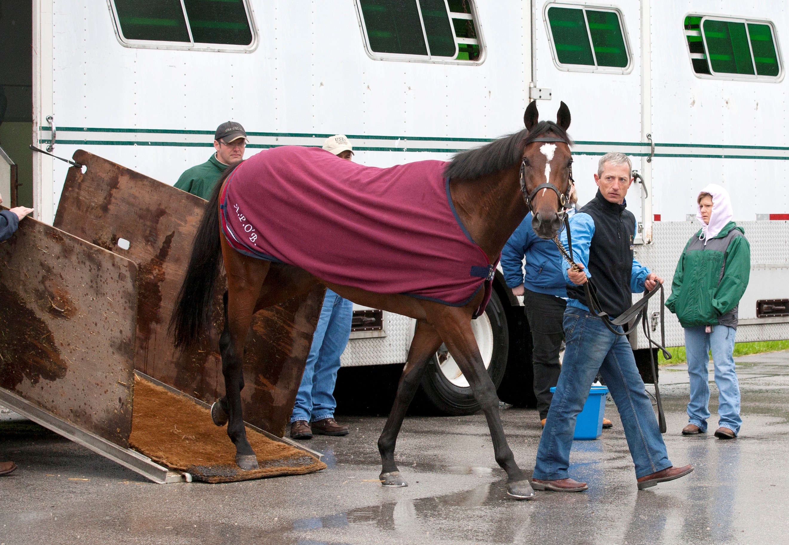 Kentucky Derby: Master of Hounds arrives from Ireland