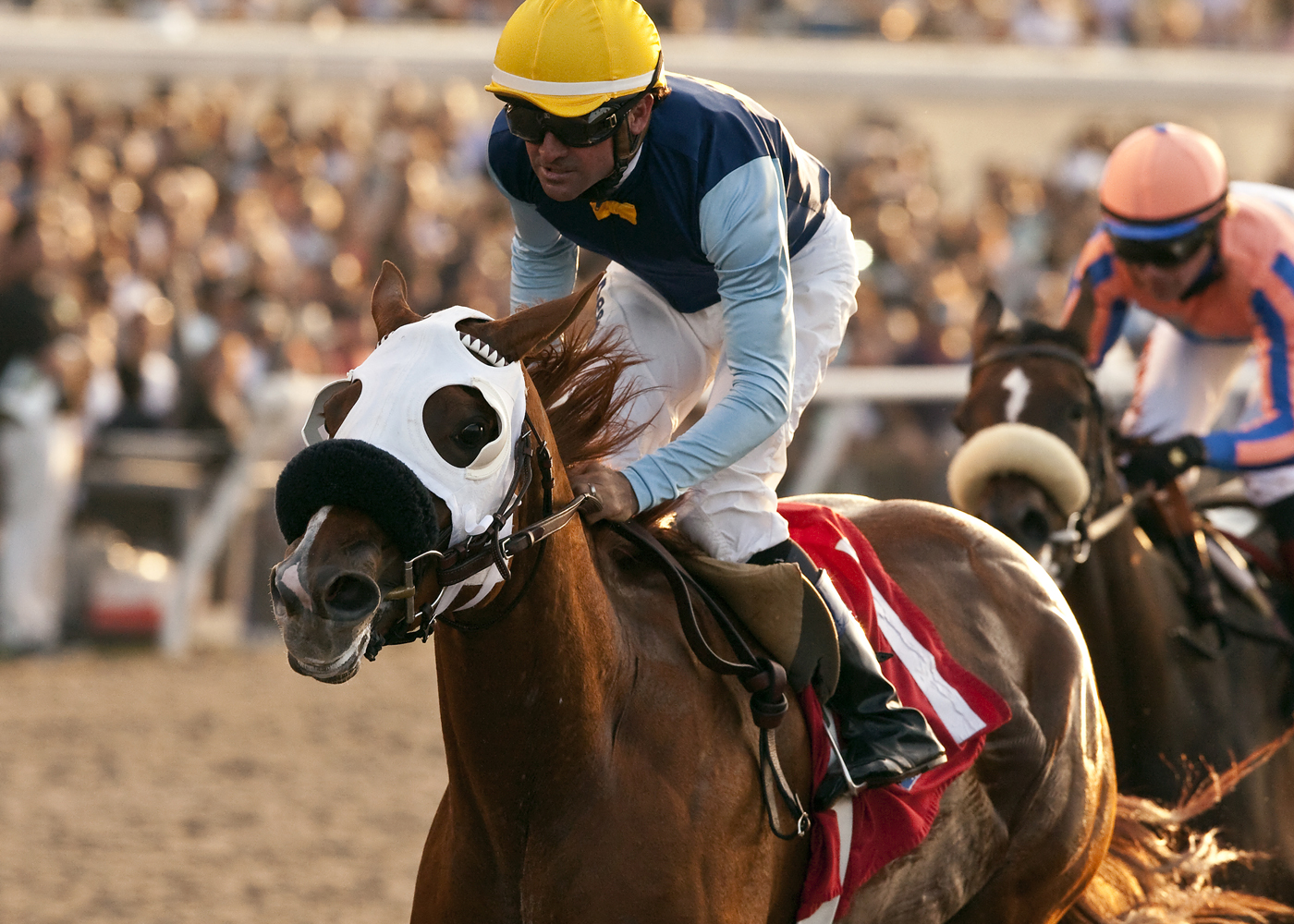Master the Blues wins 2014 Daisycutter