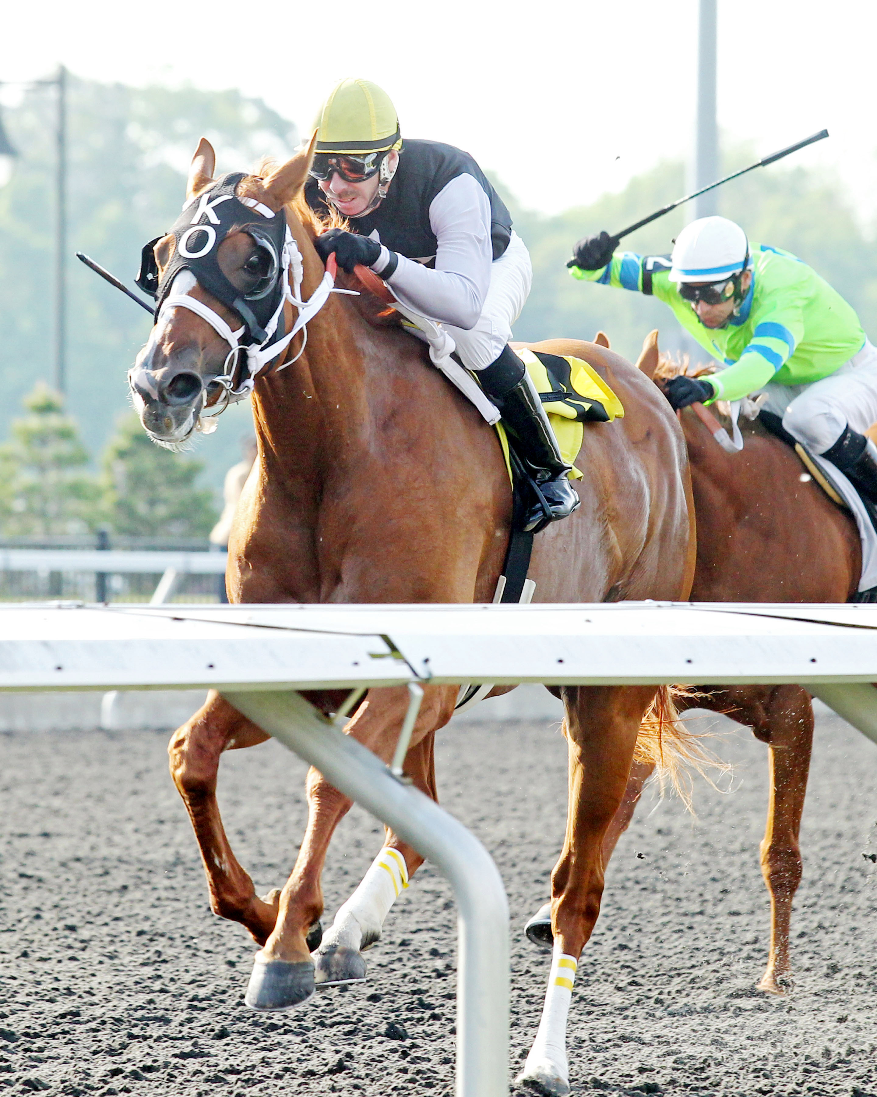Master the Blues wins a claiming race