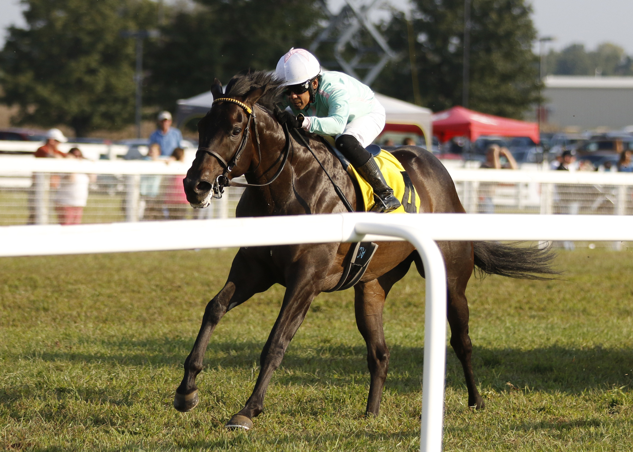 Master Merion wins the 2017 Franklin-Simpson Stakes