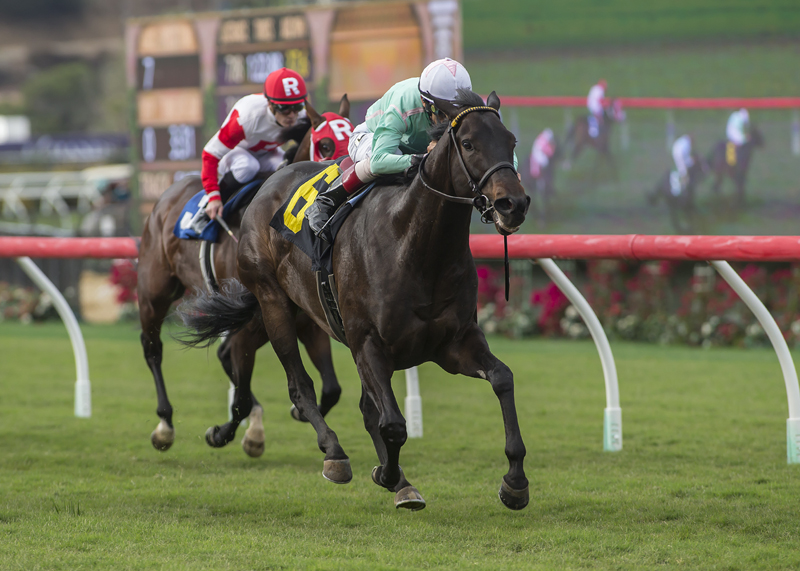 Master Merion wins the 2017 Let It Ride Stakes