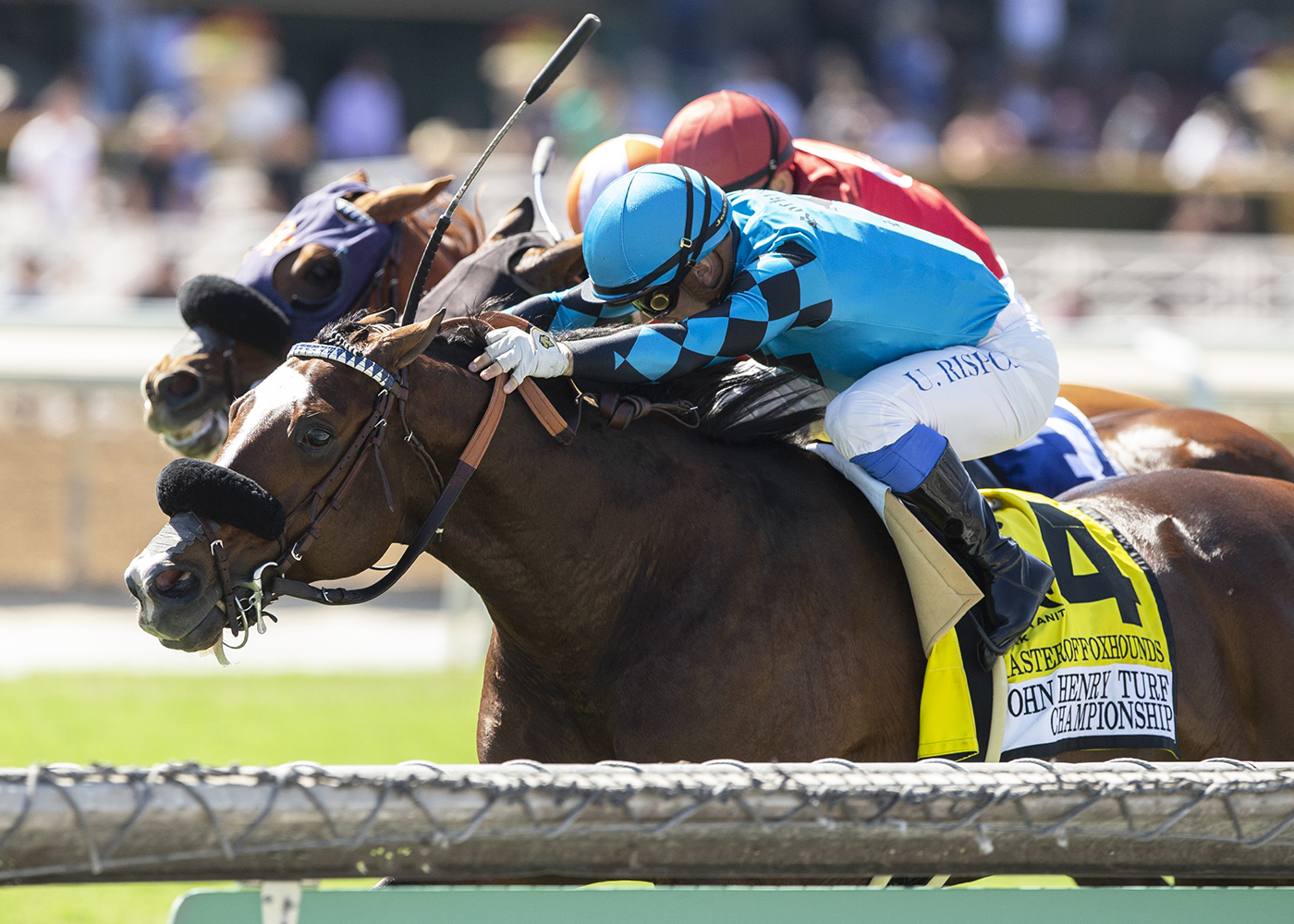 Masteroffoxhounds wins John Henry Turf 10-1-2022