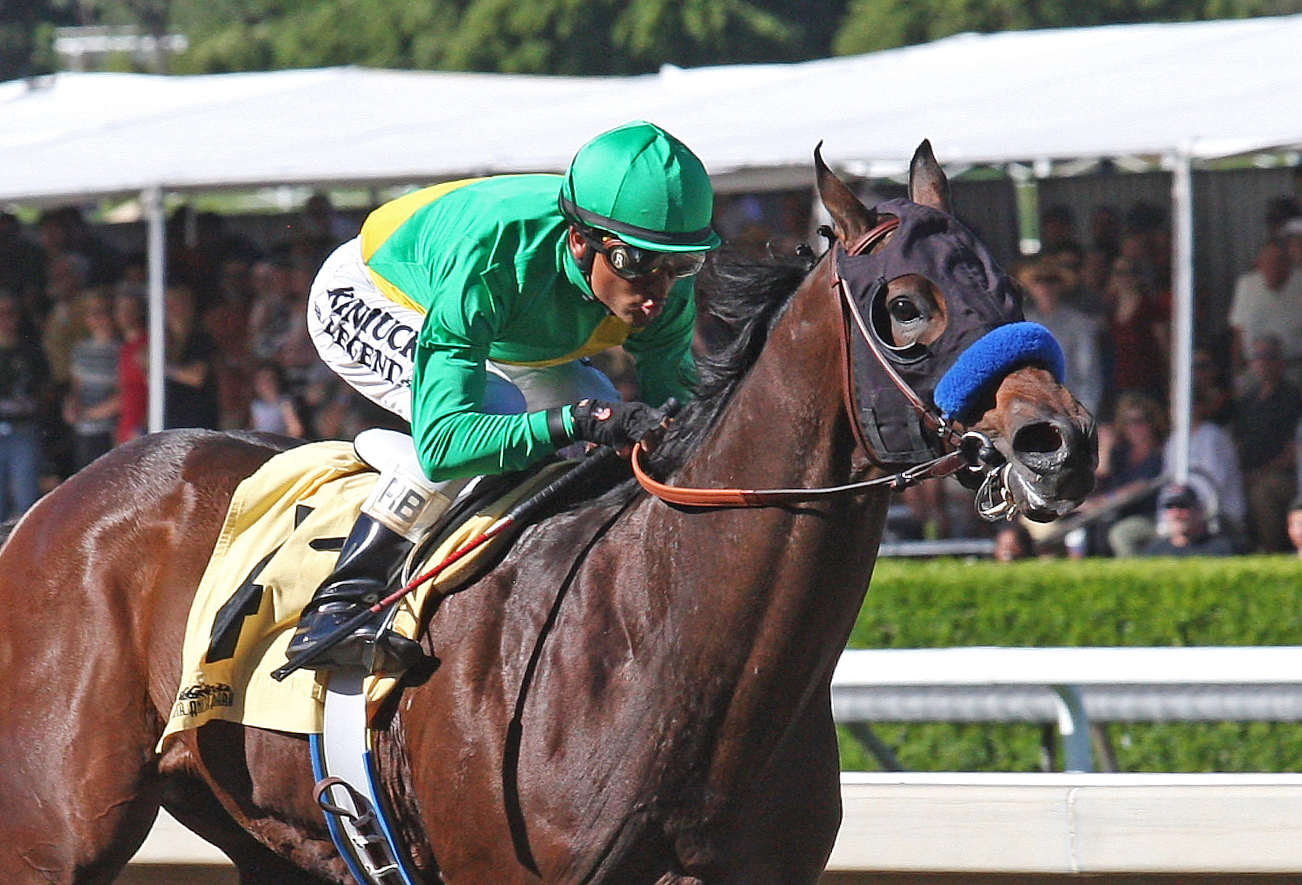 Mastery wins a maiden race