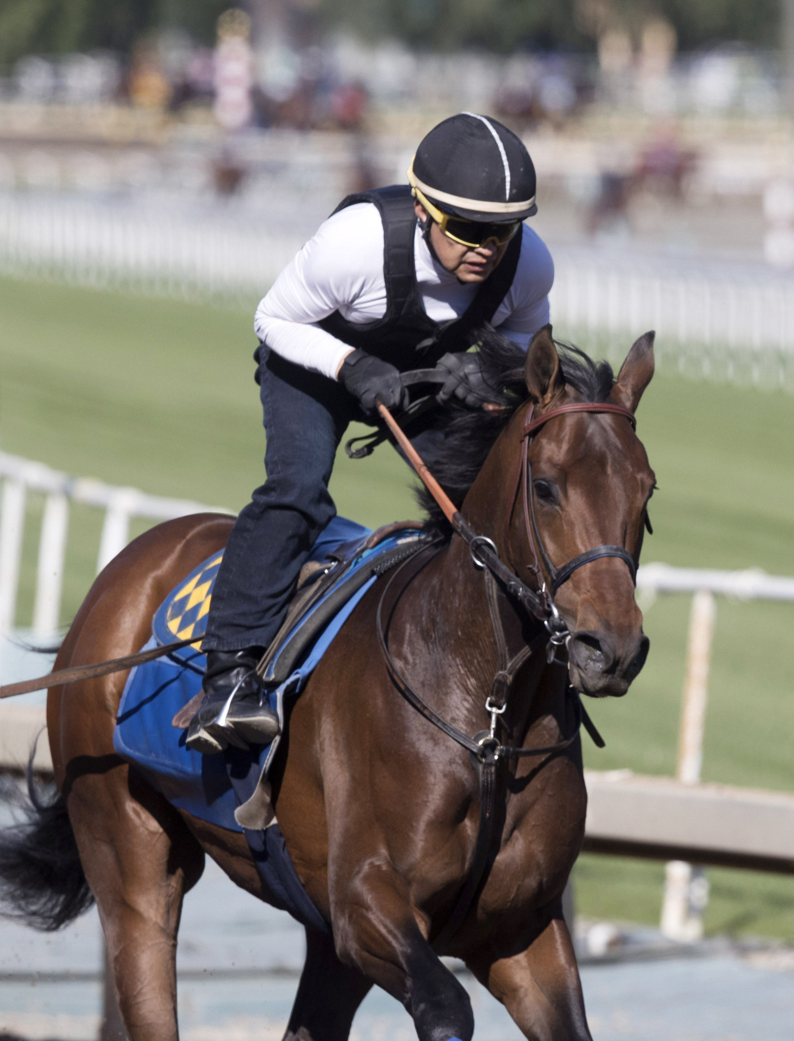 Mastery trains at Santa Anita Park on March 2