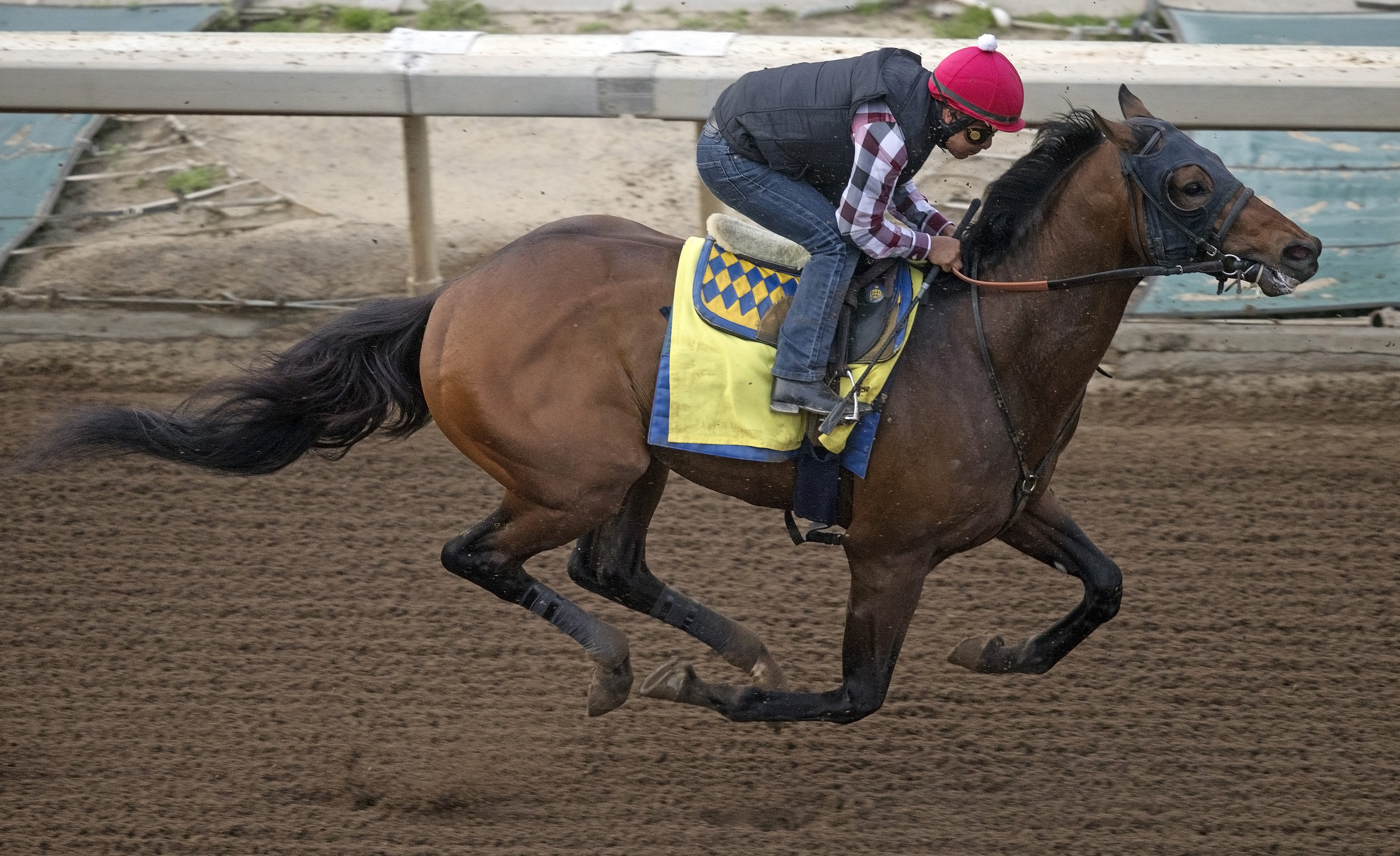 Mastery trains at Santa Anita Park on Feb. 21