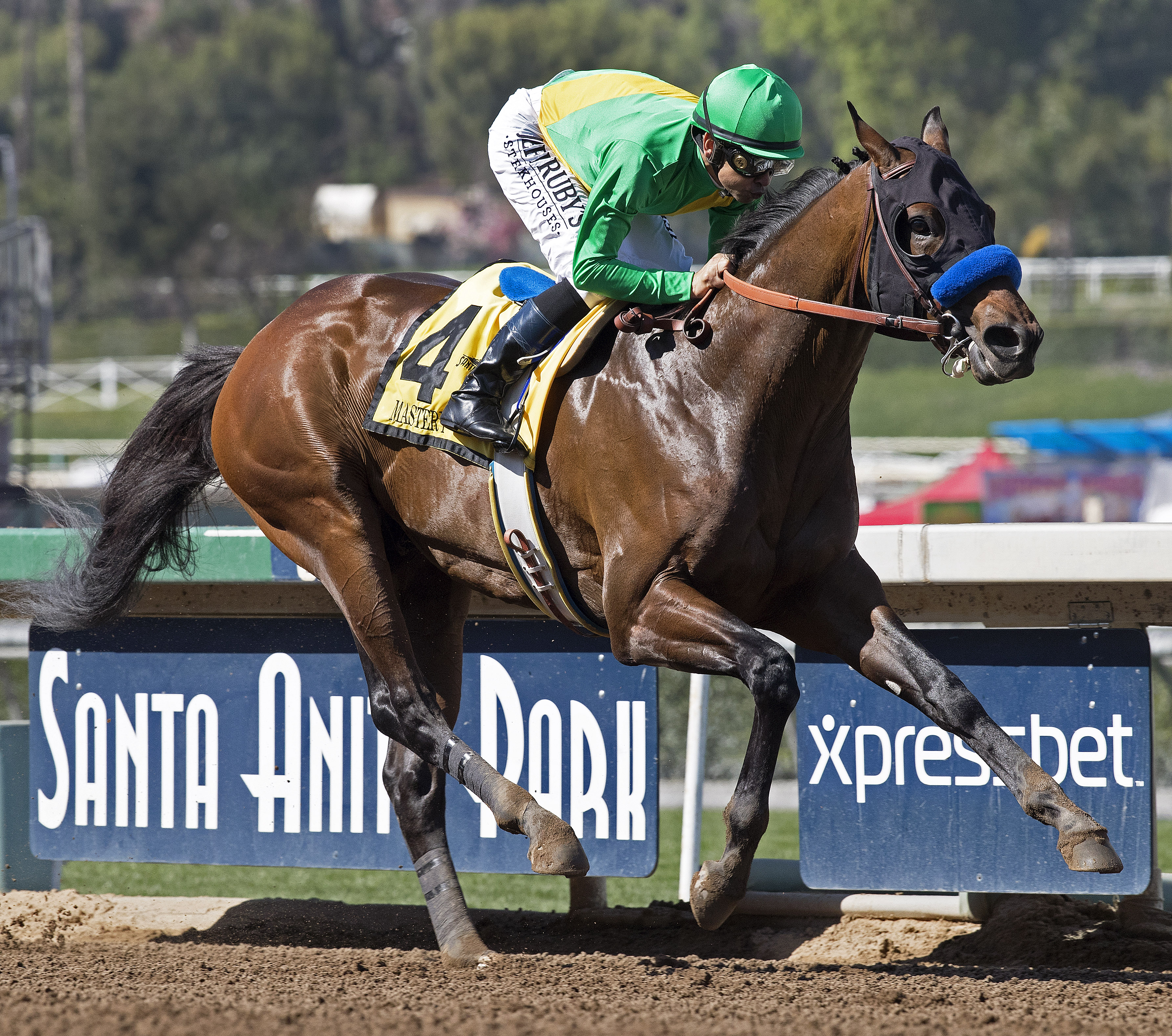 Mastery wins the San Felipe