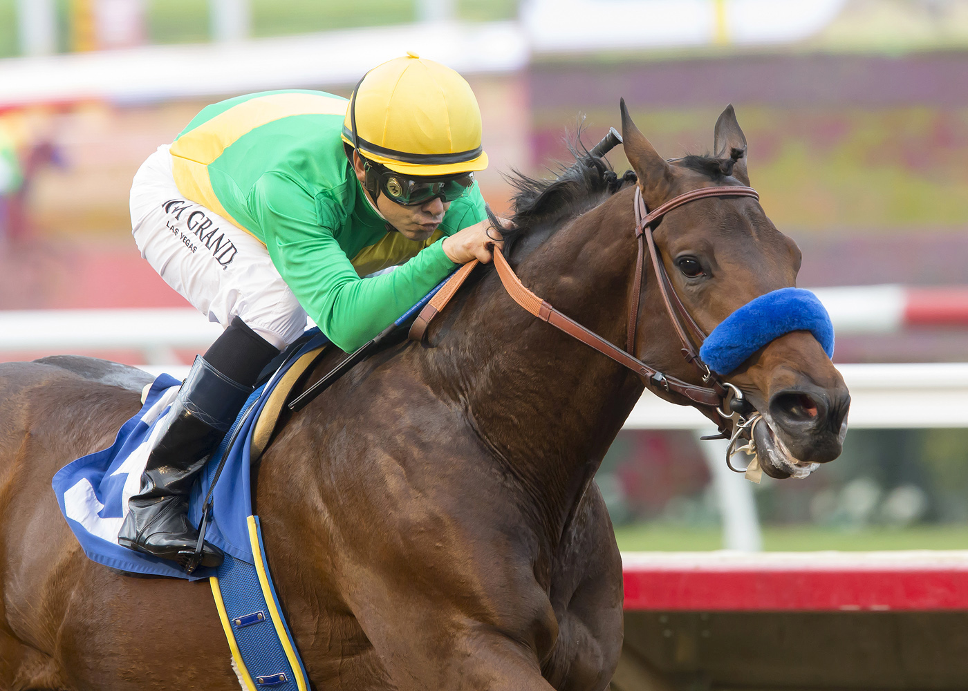 Mastery wins the Bob Hope Stakes