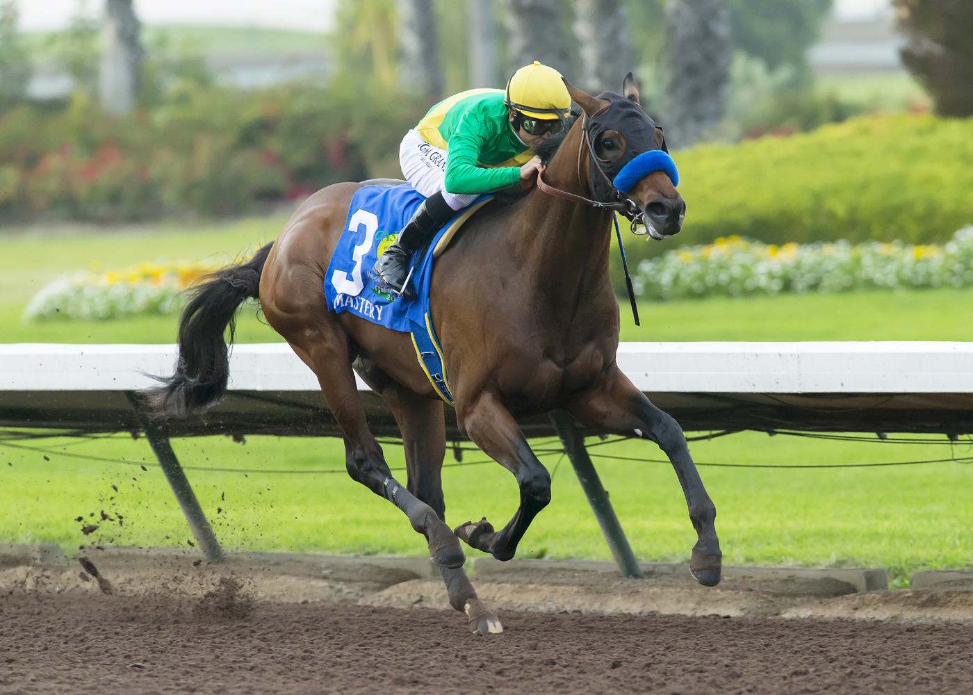 Mastery wins the Los Alamitos CashCall Futurity