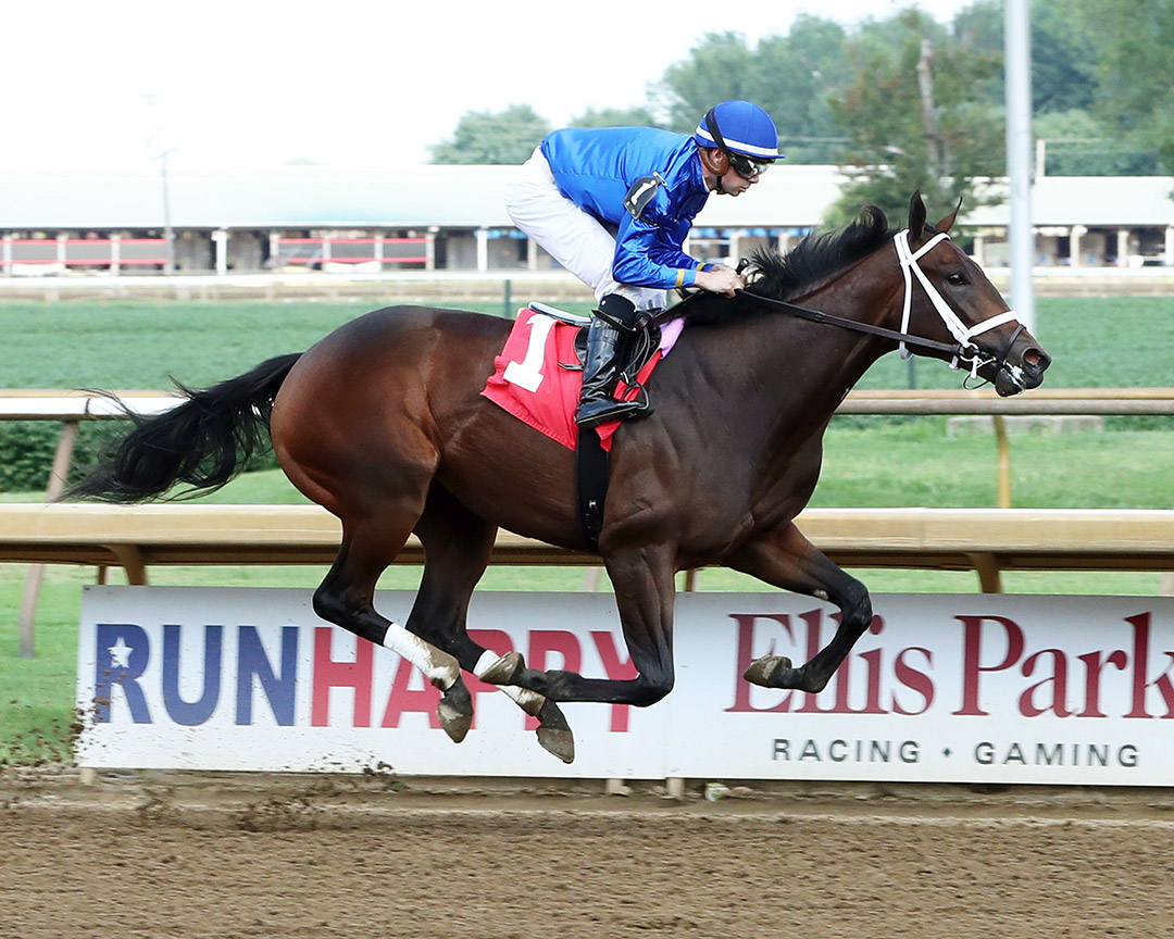 Matareya wins an August 2021 maiden race at Ellis Park