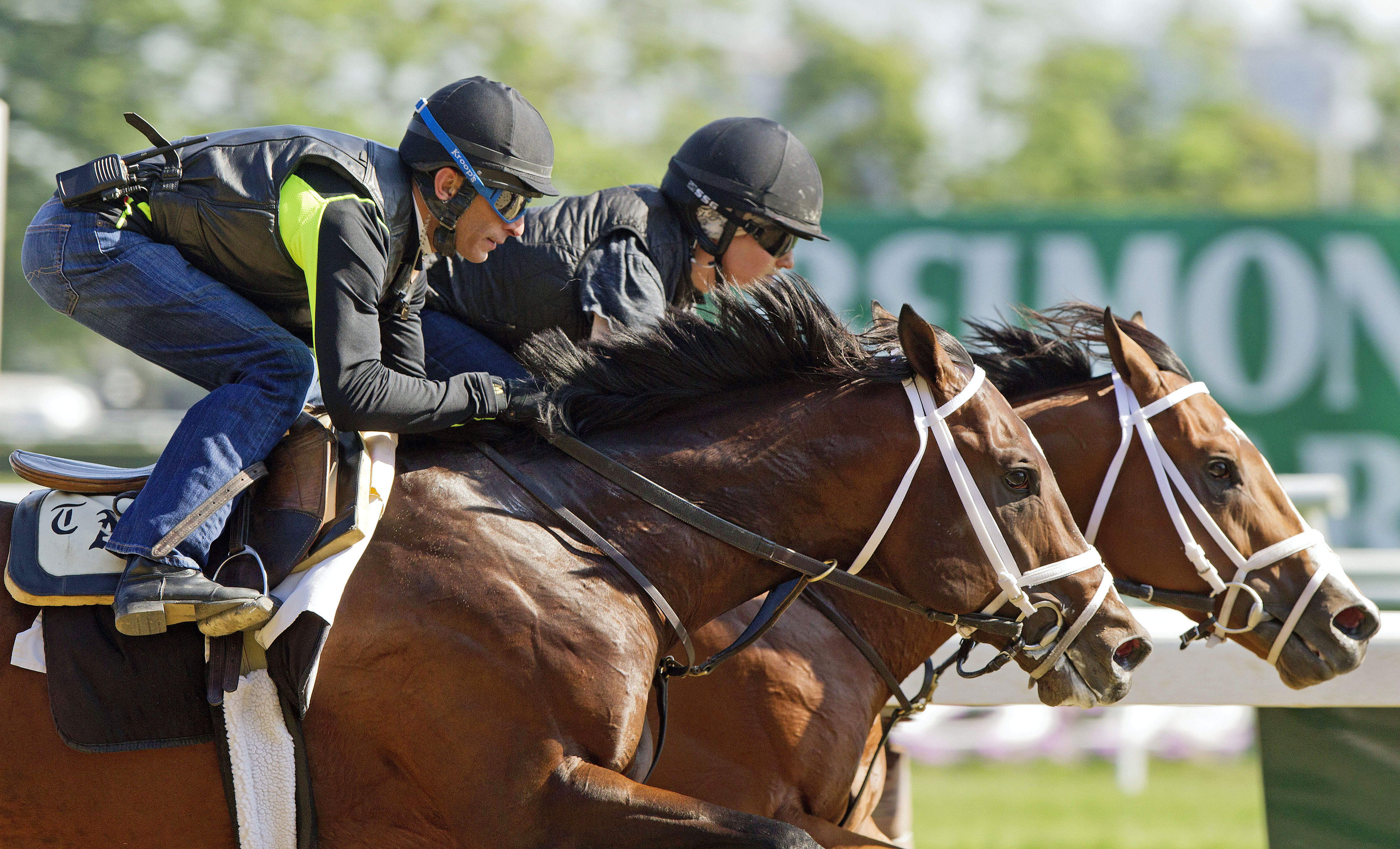 Materiality and Stanford work at Belmont Park