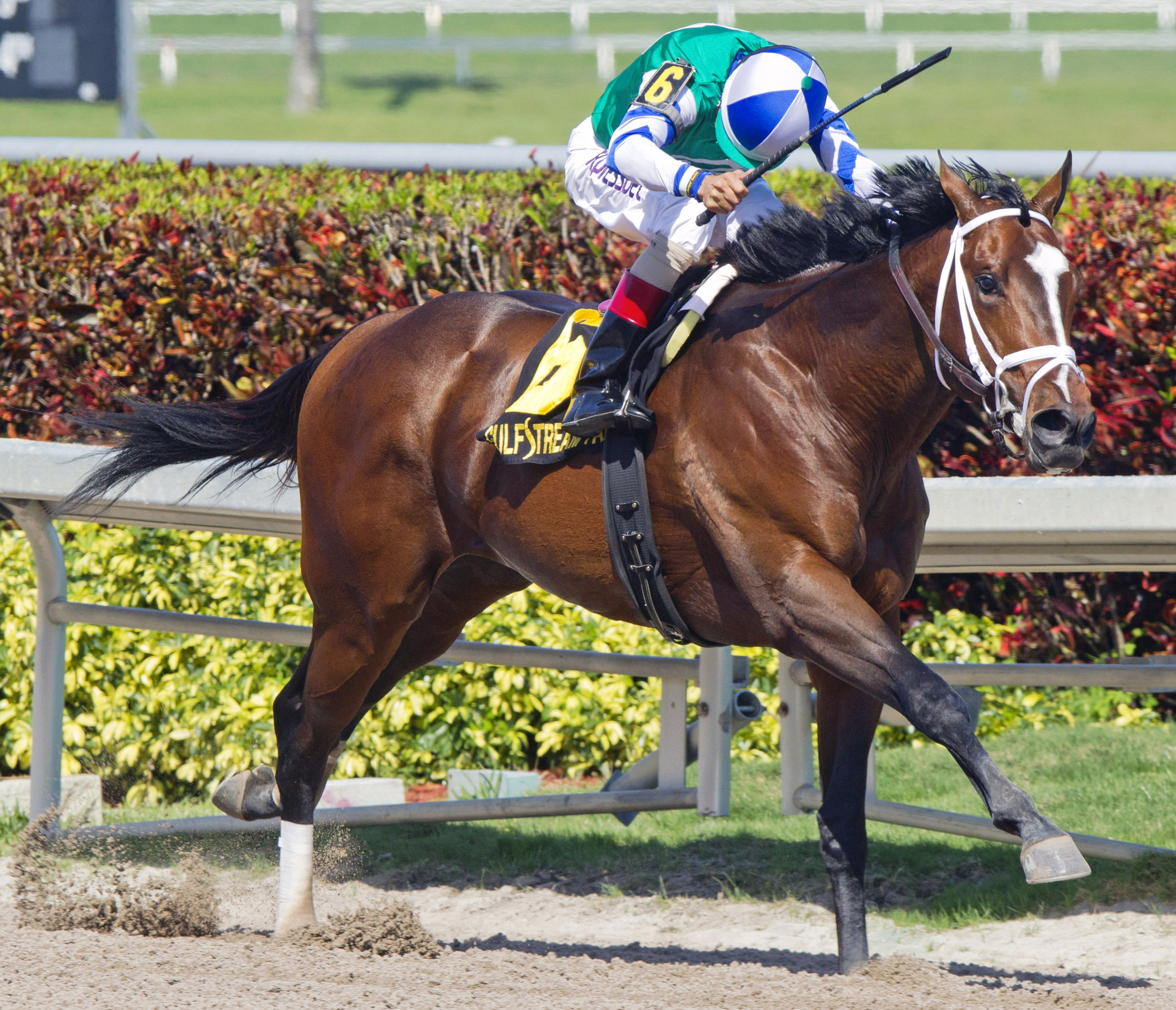 Materiality wins the Islamorada