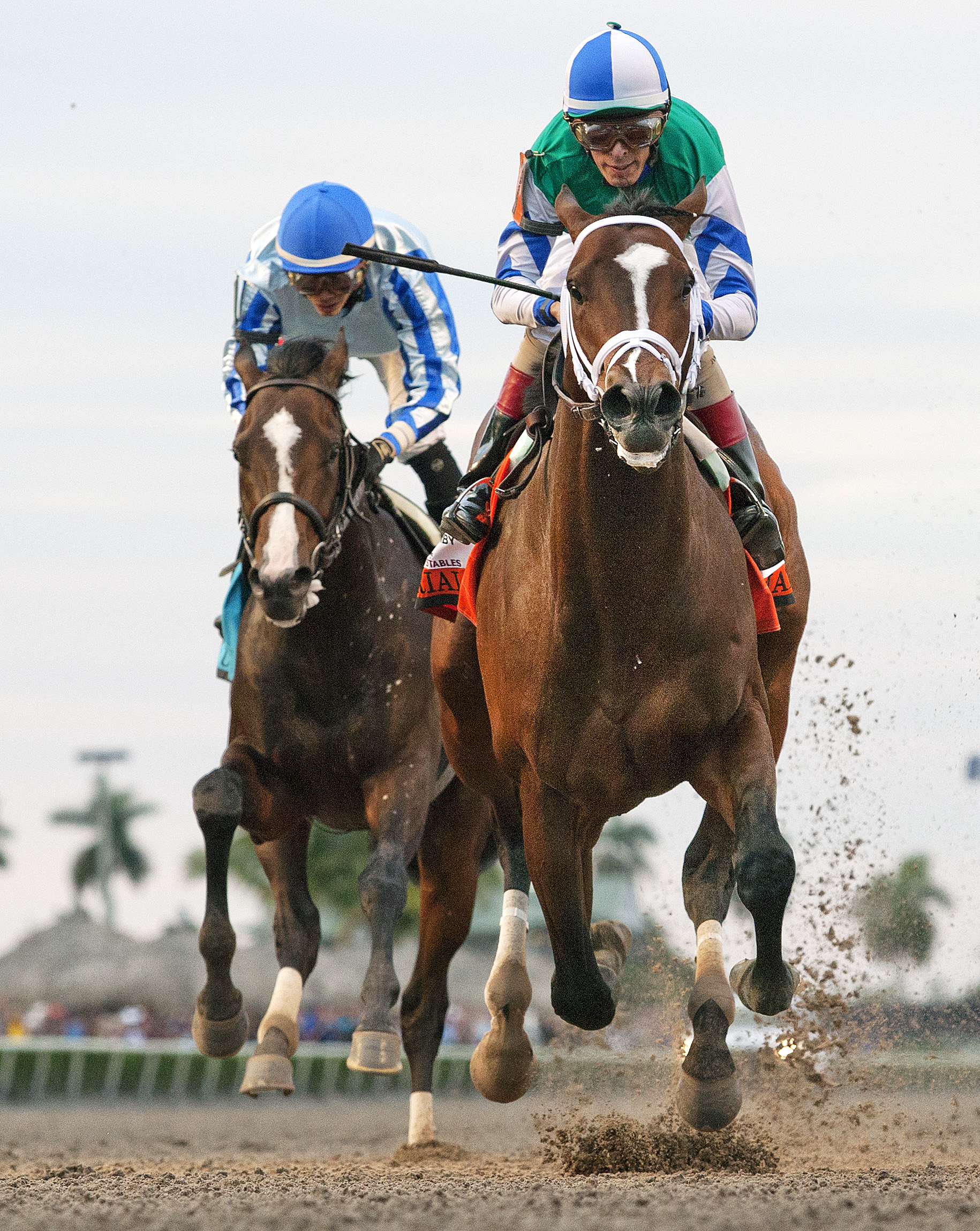 Materiality wins 2015 Florida Derby