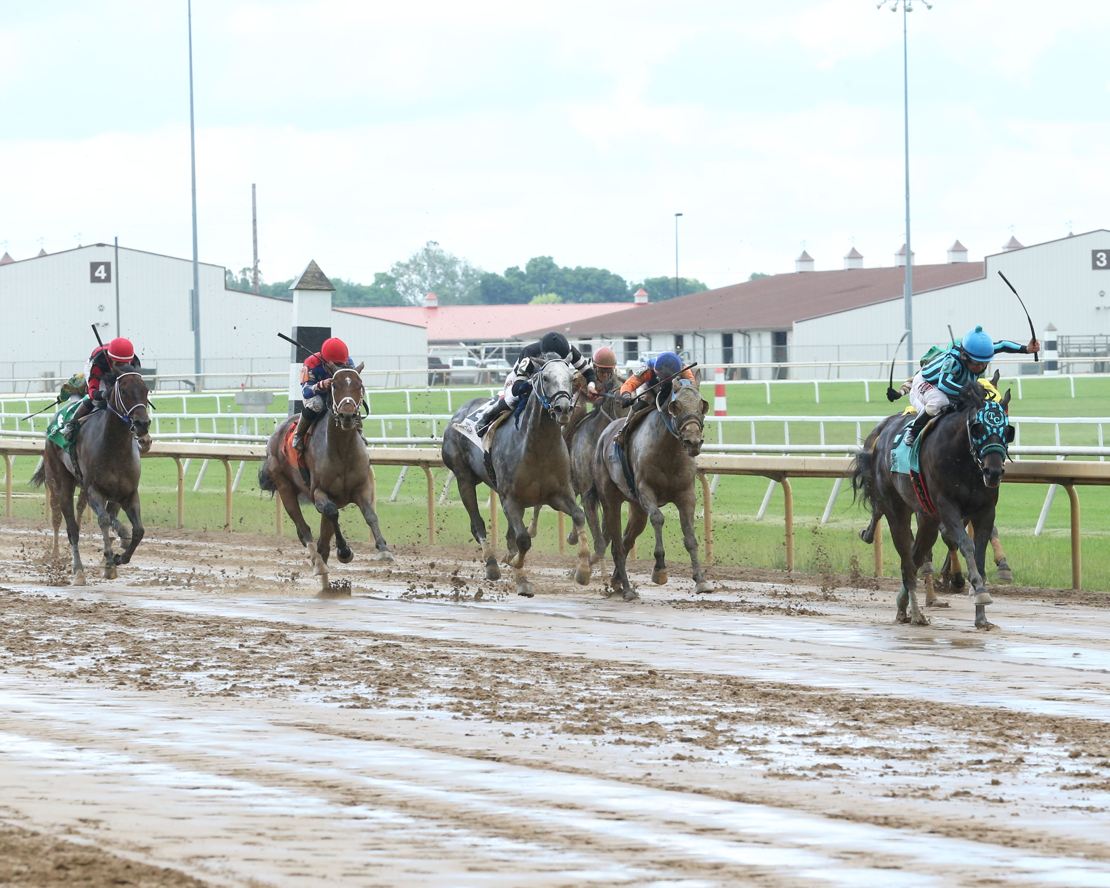 Maters N Taters wins the William Henry Harrison Stakes.6-9-2021