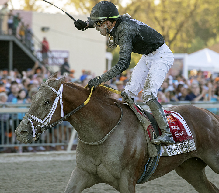 Math Wizard wins the 2019 Pennsylvania Derby at Parx Racing