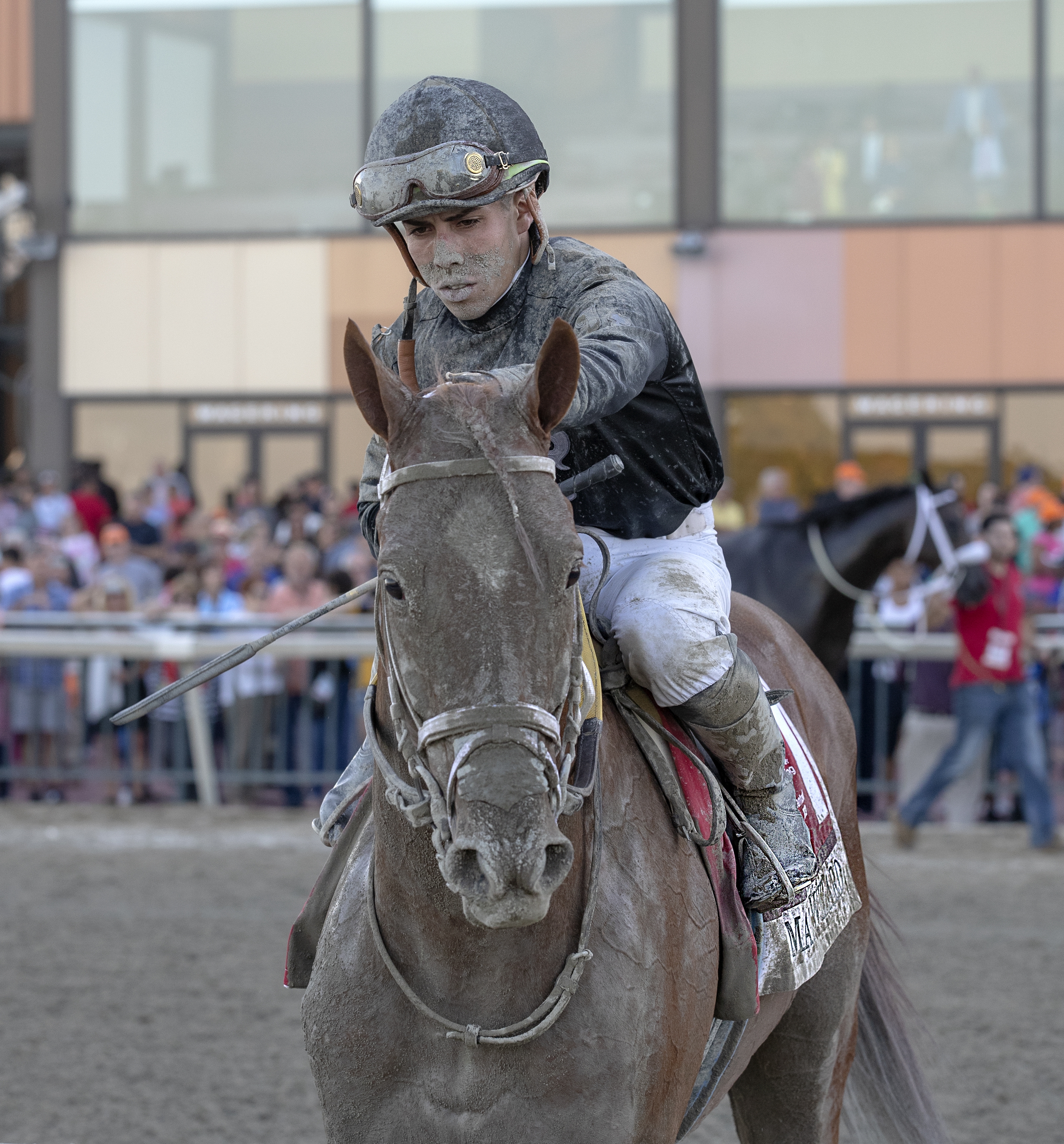 Math Wizard following victory in the 2019 Pennsylvania Derby