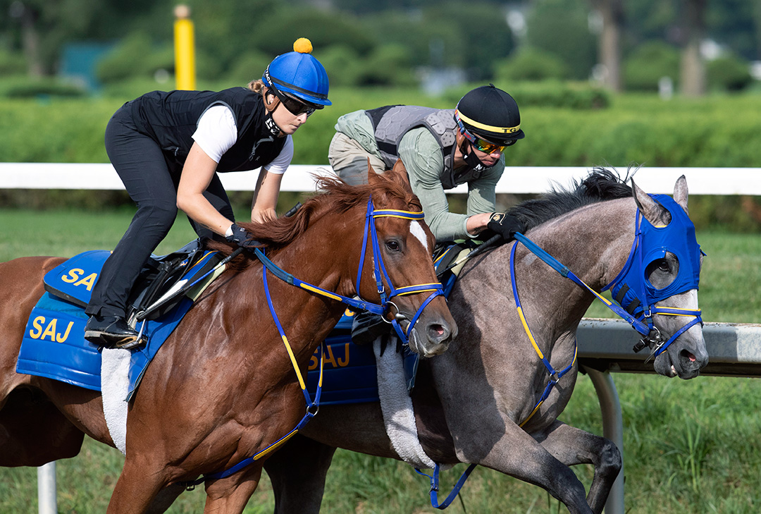 Ny Traffic (inside) and Math Wizard train at Saratoga Race Course on Aug. 13
