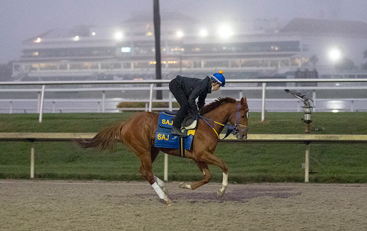 Math Wizard trains at Gulfstream Park in January 2020