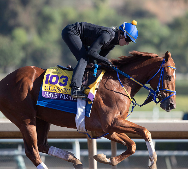 Math Wizard trains at Santa Anita Park before the Breeders' Cup