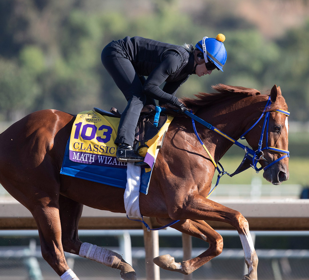 Math Wizard trains at Santa Anita Park before the Breeders' Cup in 2019