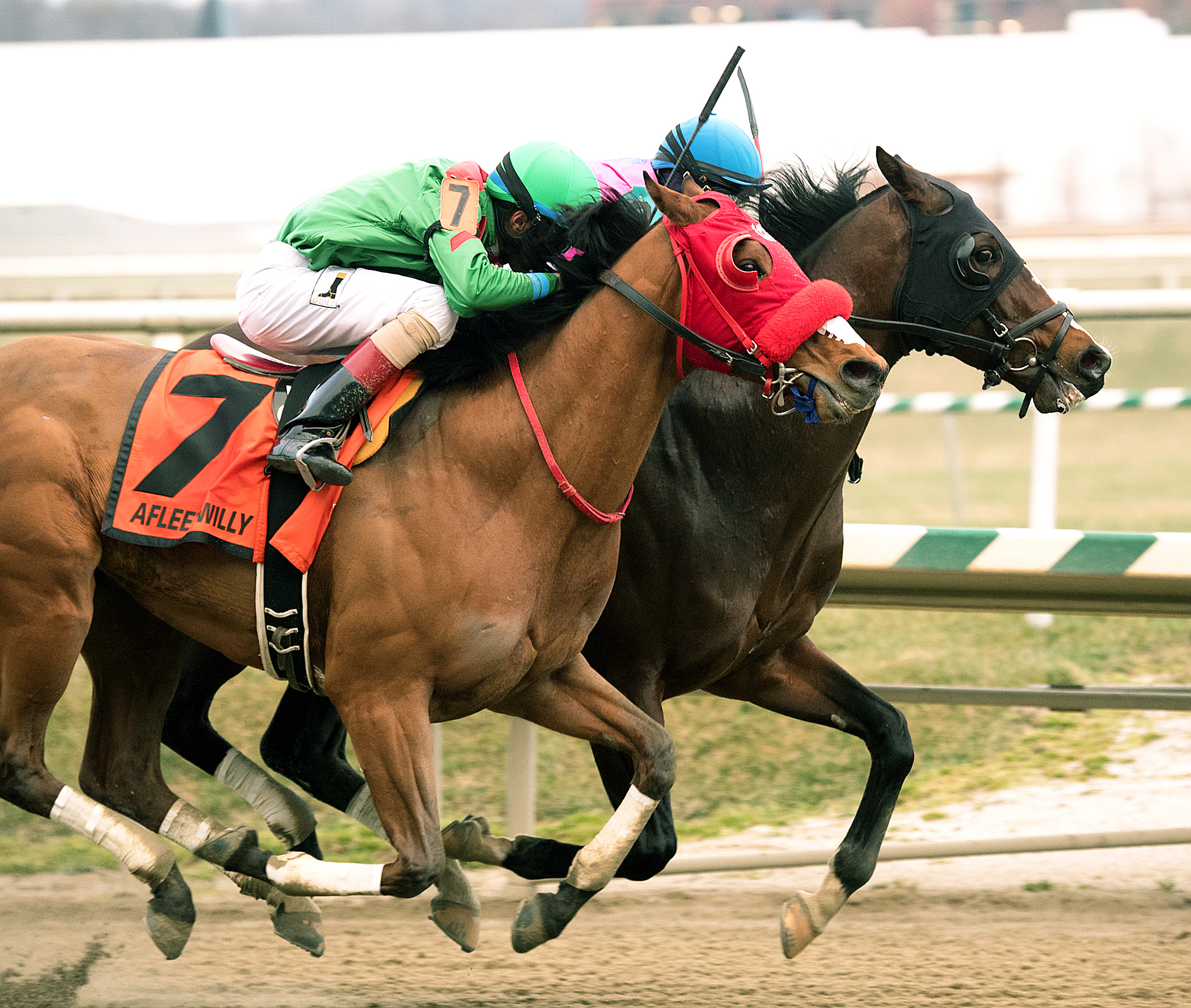 Afleet Willy finishes second in the 2017 Harrison E. Johnson Memorial Stakes