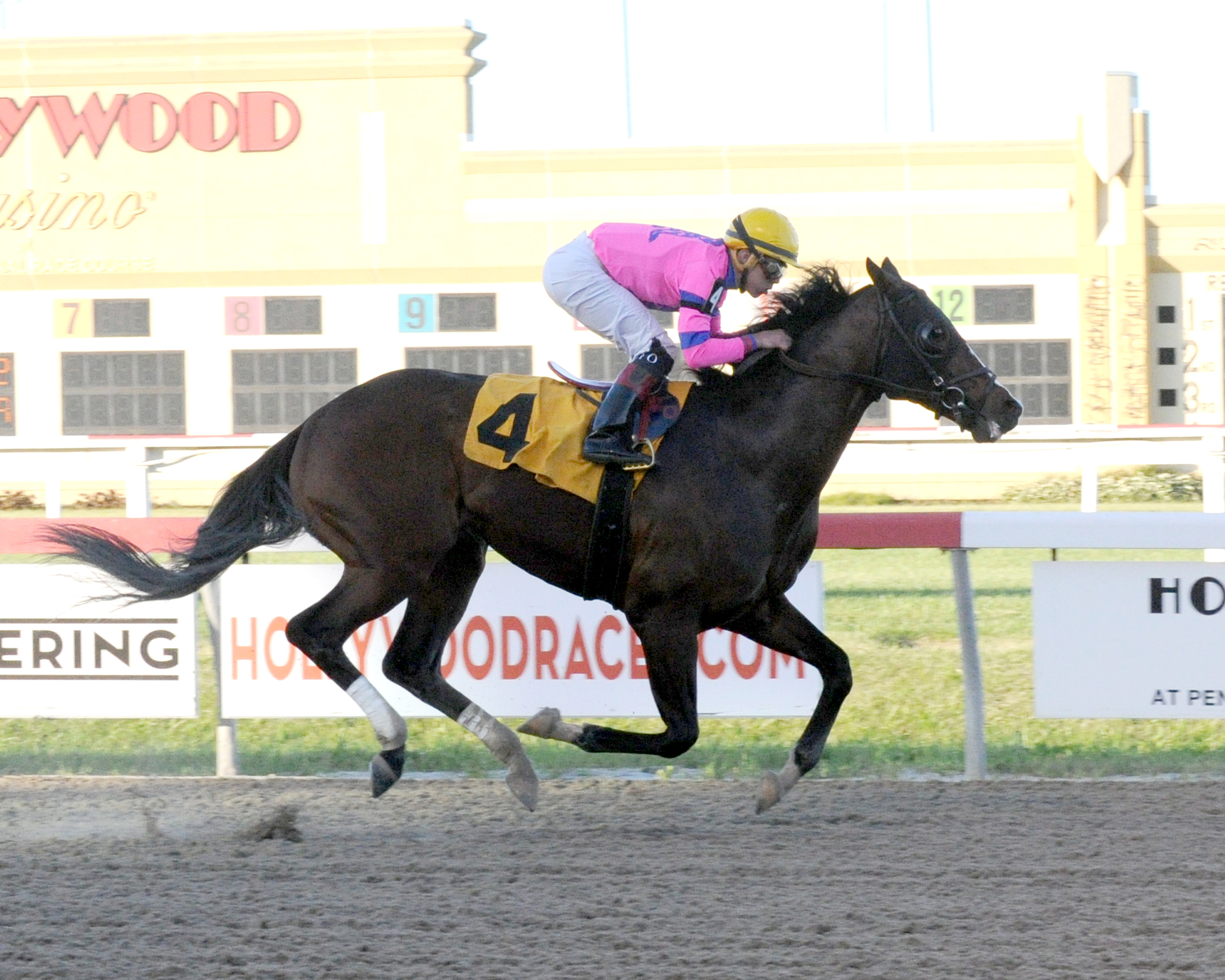 Matt King Coal wins the Mountainview Stakes