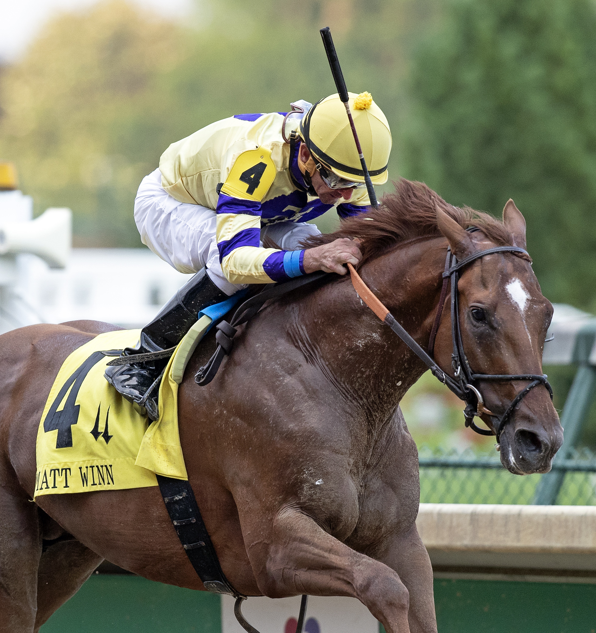 King Zachary wins the 2018 Matt Winn Stakes