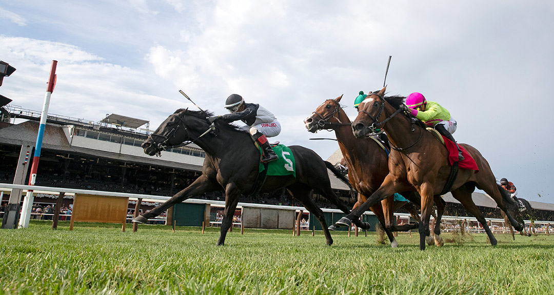 Matta (No. 5) wins an Aug. 13 allowance race at Saratoga Race Course