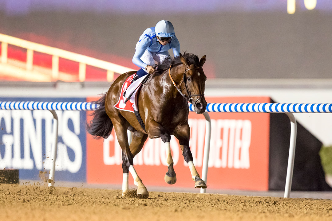 Matterhorn wins the 2020 Al Maktoum Challenge R3 at Meydan Racecourse