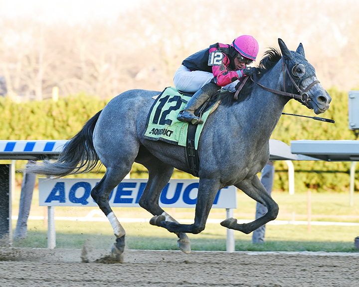 Matty's Magnum wins the 2018 Winter Memories Stakes at Aqueduct