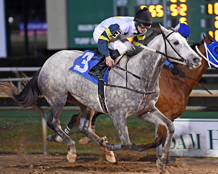 Mav Master wins the 2018 Richard King Turf Stakes at Sam Houston Race Park