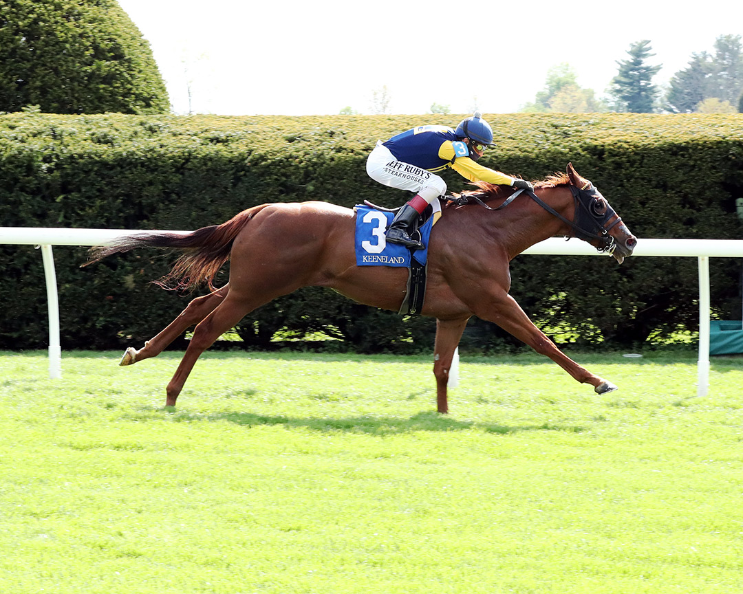 Maven wins an April 15 allowance at Keeneland