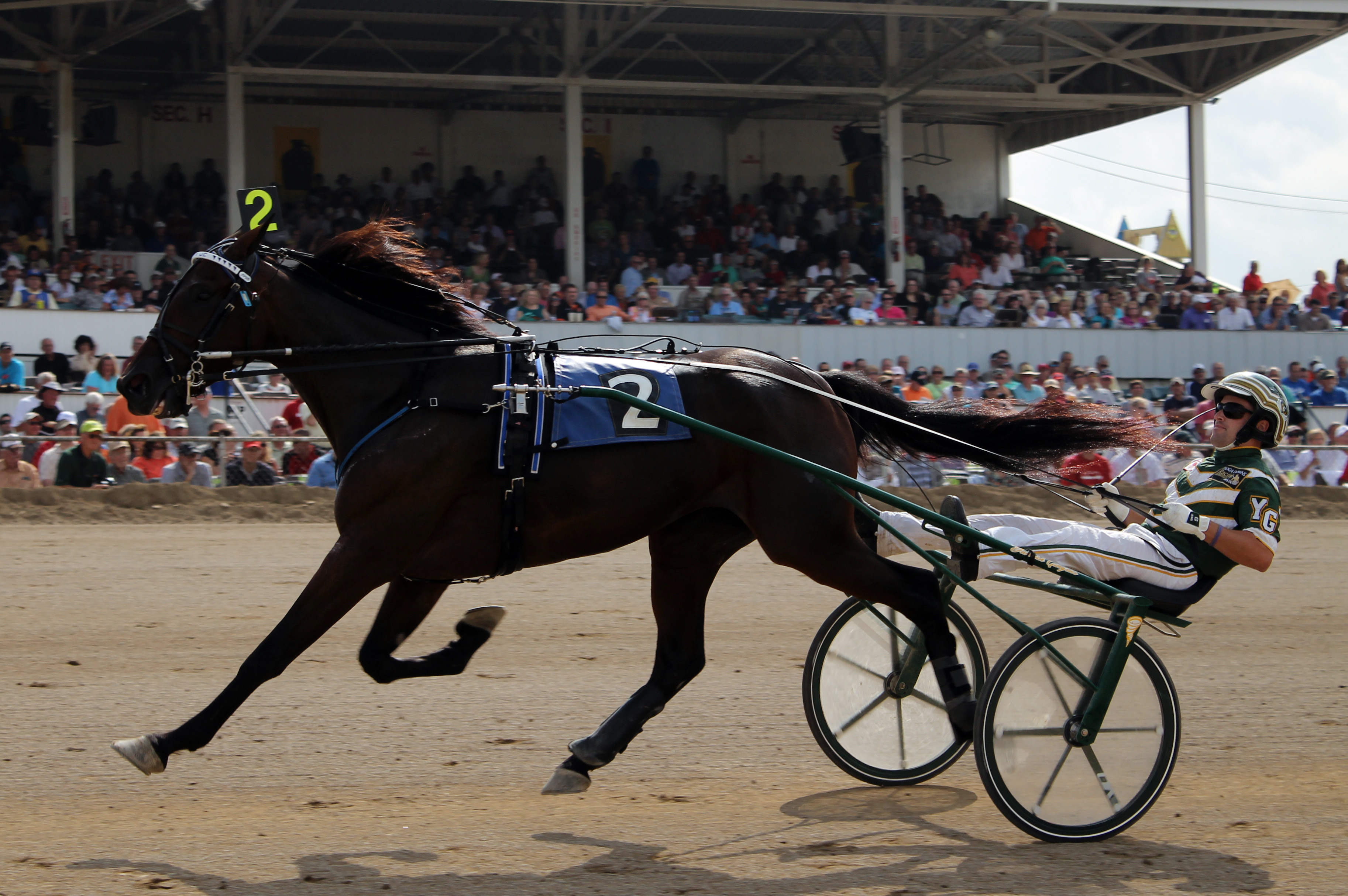 Maven at Delaware