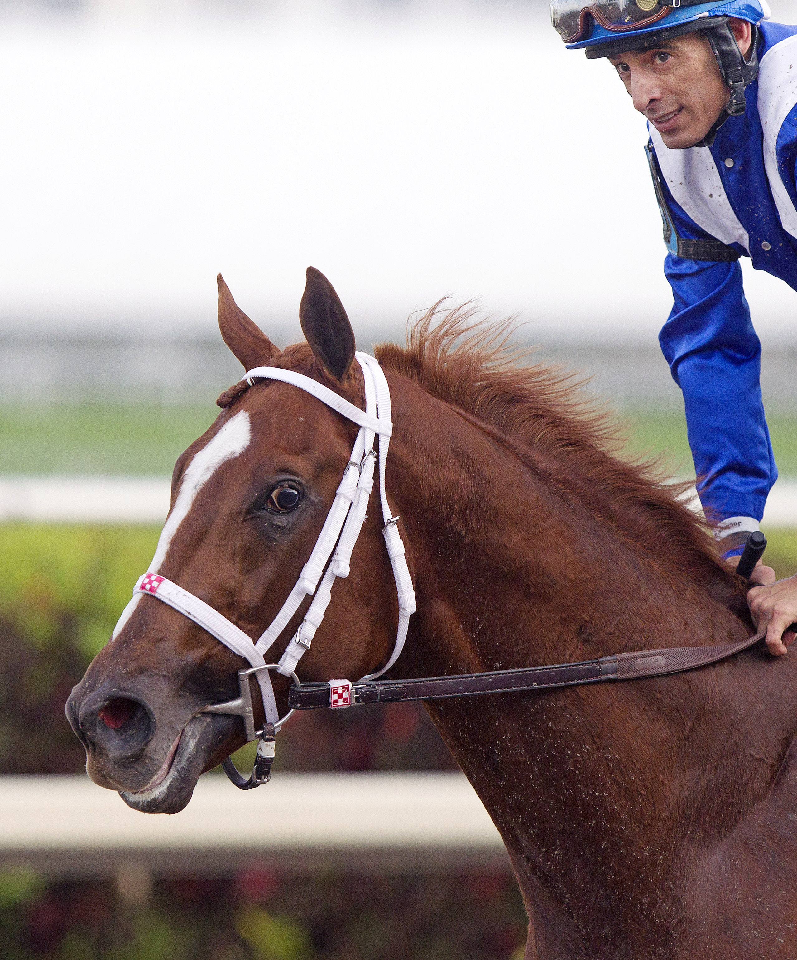 Mawthooq finishes third in the Mucho Macho Man