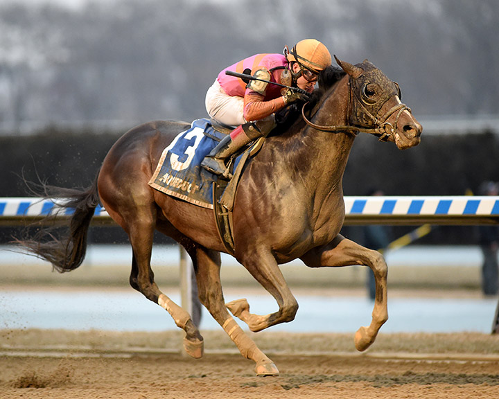 Max Player wins the 2020 Withers Stakes at Aqueduct Racetrack