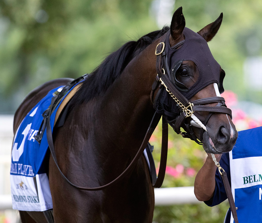 Max Player at Belmont Park in June 2020