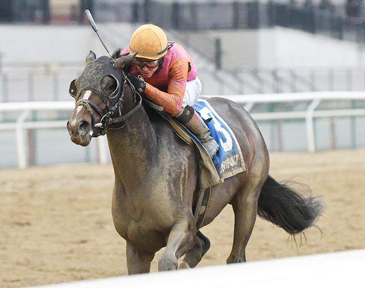 Max Player wins the 2020 Withers Stakes at Aqueduct Racetrack