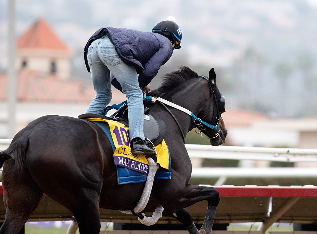 Max Player trains at Del Mar on Nov. 1
