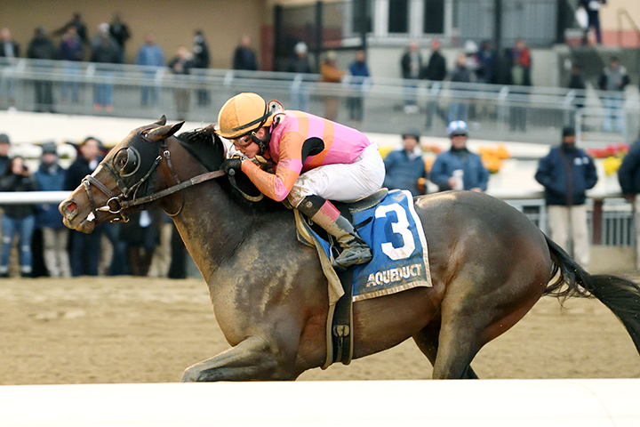 Max Player wins the 2020 Withers Stakes at Aqueduct Racetrack