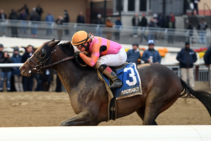 Max Player wins the 2020 Withers Stakes at Aqueduct Racetrack