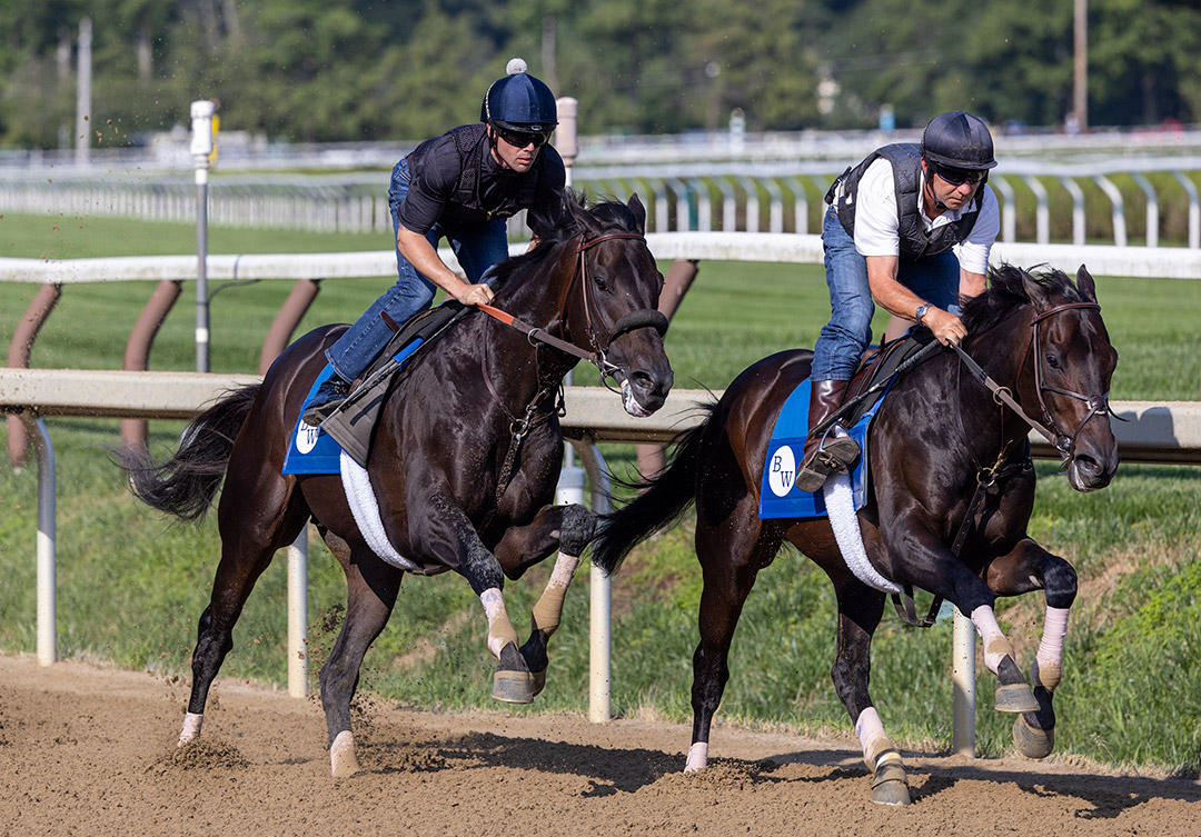 Maxfield (left) and Business Model train at Saratoga Race Course on July 23