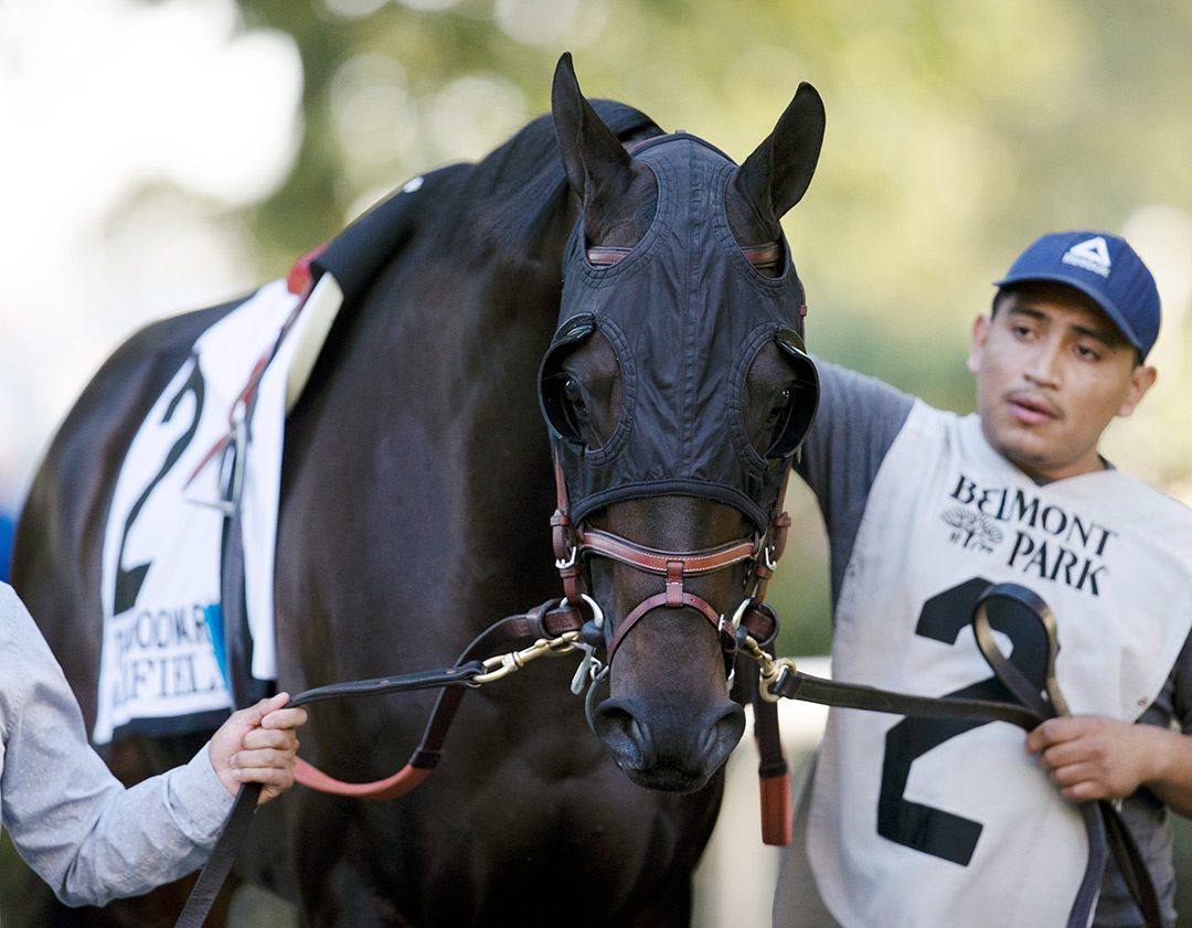 Maxfield at Belmont Park on Oct. 2