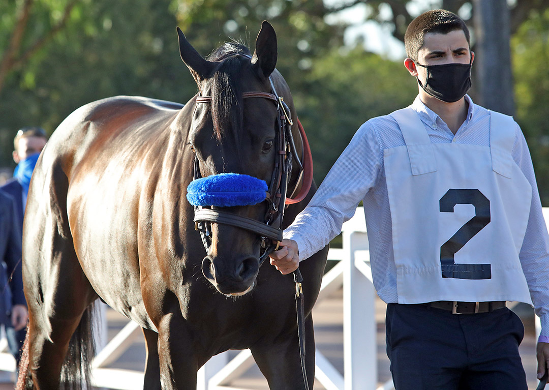 Maxfield at Santa Anita Park on March 6
