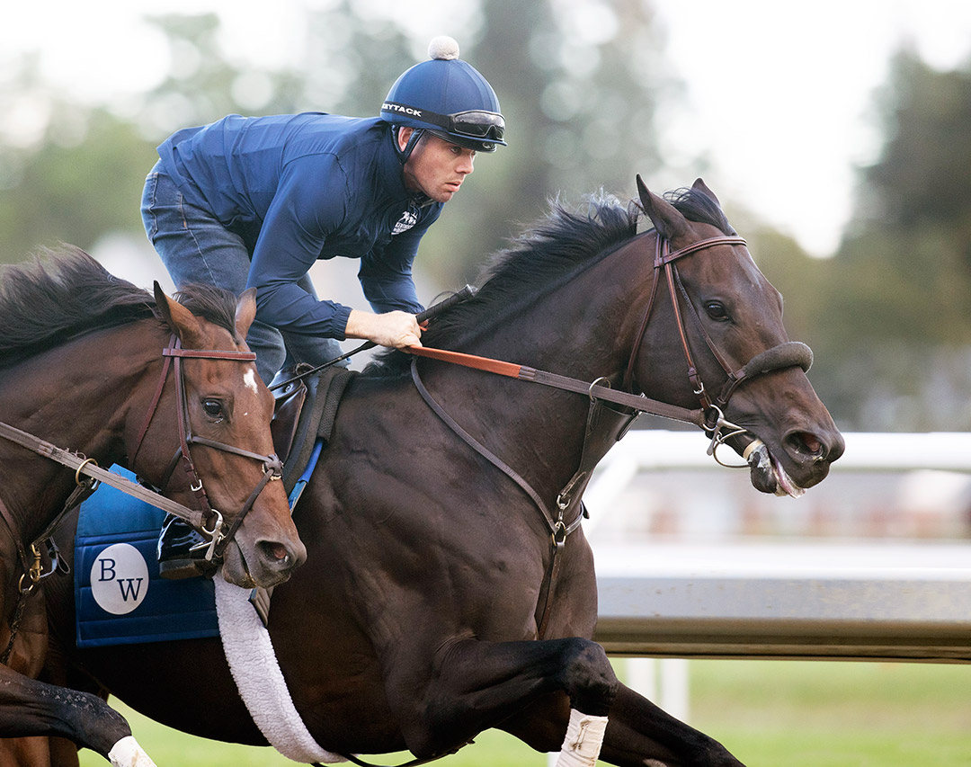 Maxfield works at Saratoga Race Course on Sept. 3