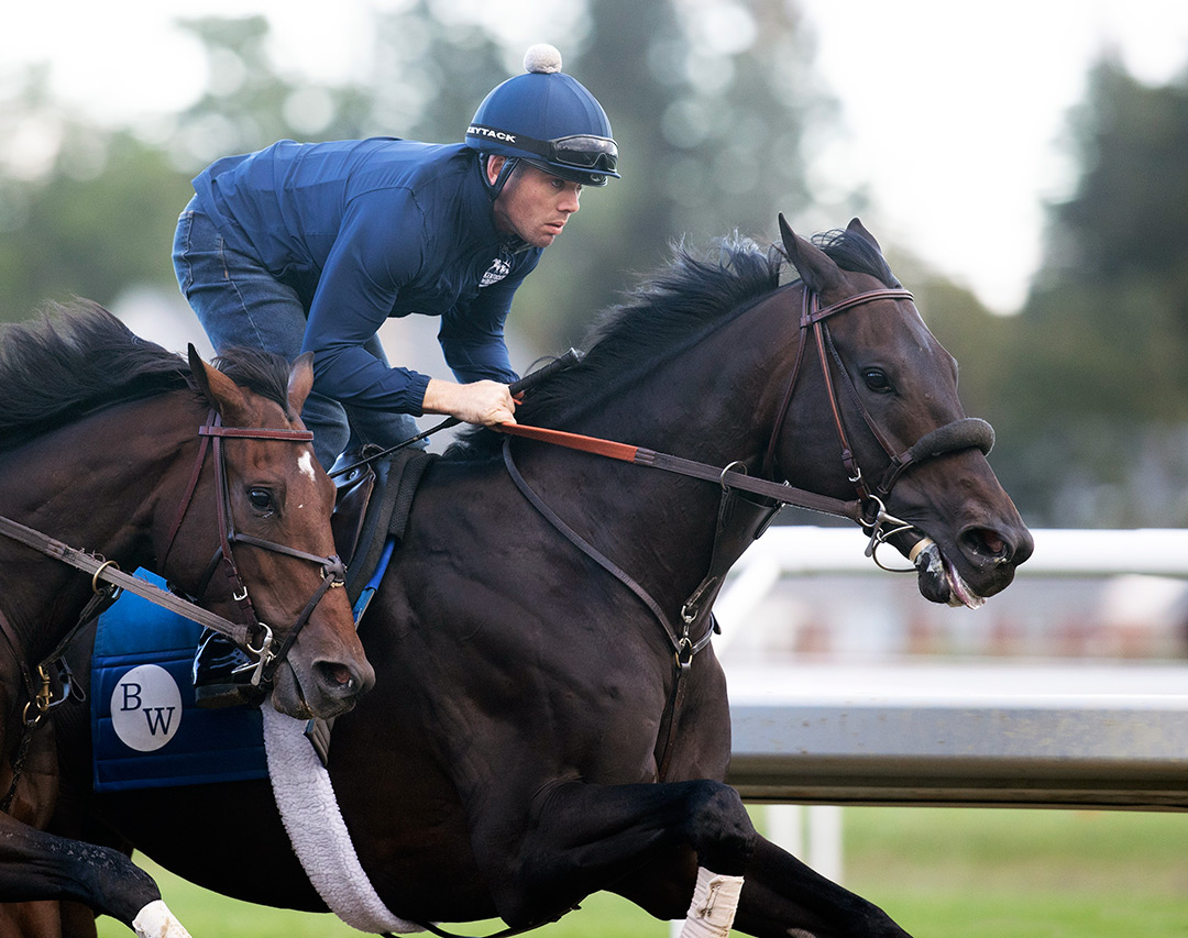 Maxfield trains at Saratoga Race Course on Sept. 3